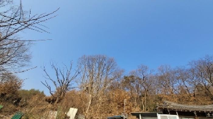 본건2 및 주변