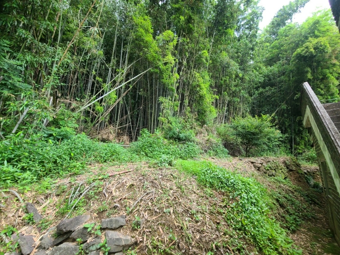 본건 전경