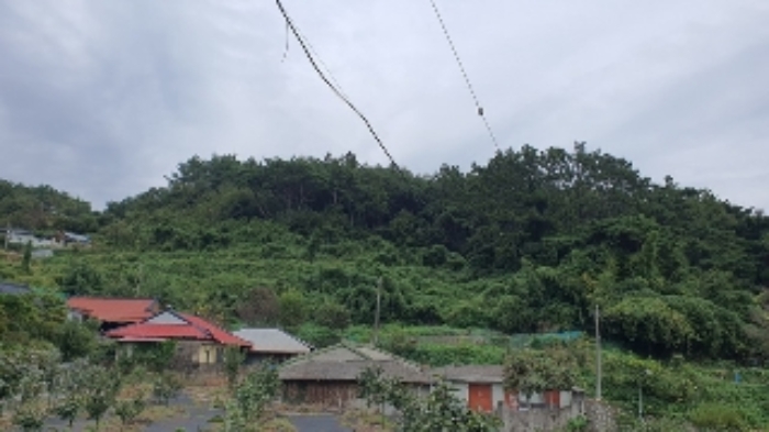 본건 및 주변 전경