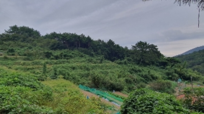 본건 및 주변