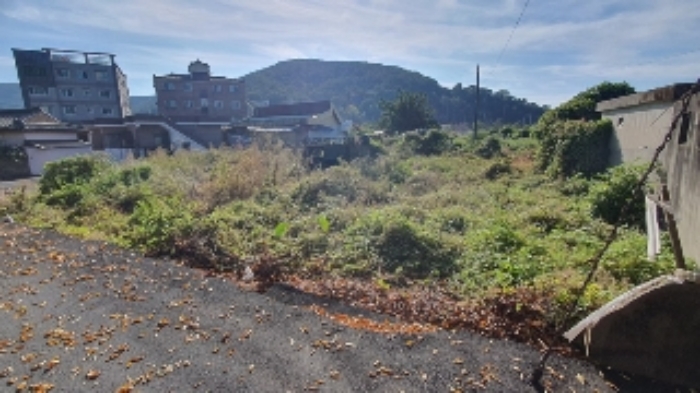 본건 및 주변