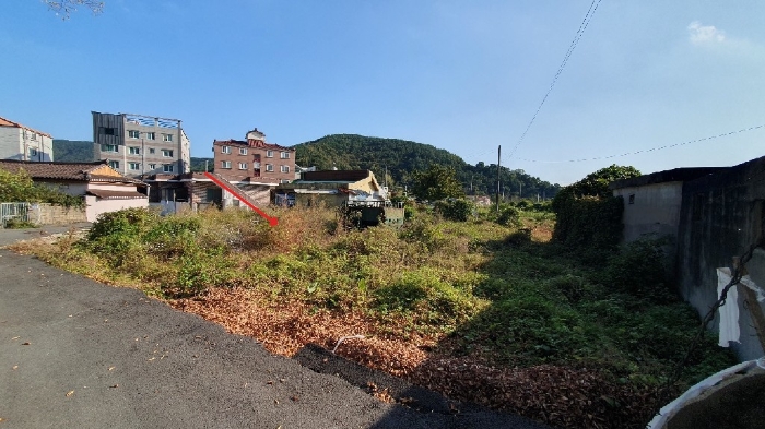 본건