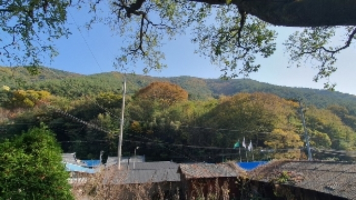 본건1(태봉리 382) 및 주변