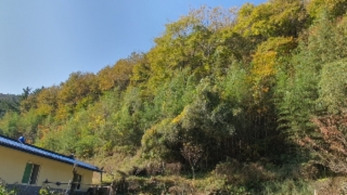 본건2(태봉리 산88) 및 주변