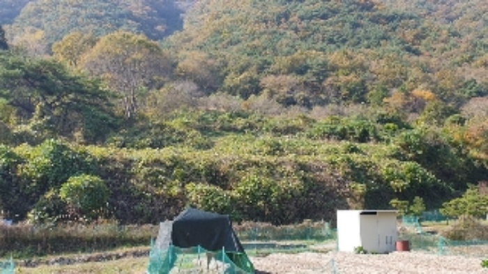 본건4(태봉리 603) 및 주변