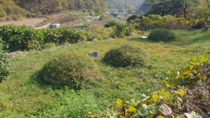 본건4(태봉리 603) 지상의 제시외 분묘