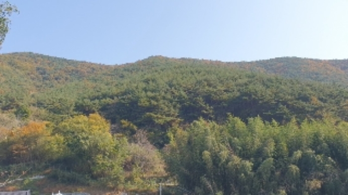 본건5(태봉리 산30) 및 주변