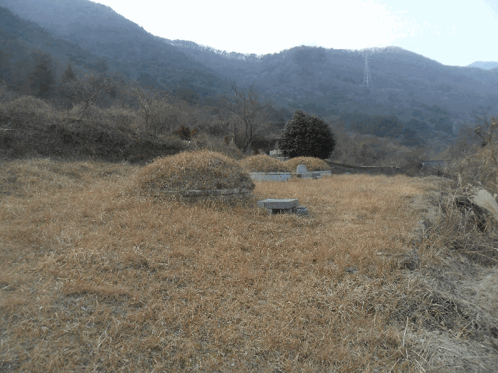 기호4토지상 분묘
