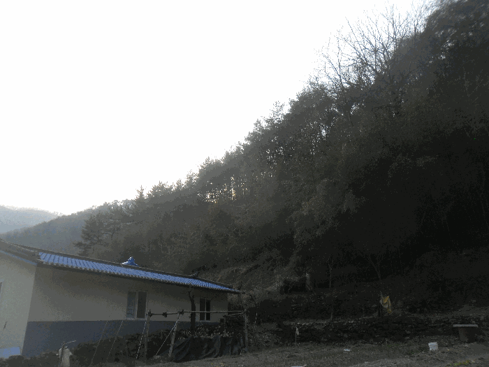 본건전경 기호2