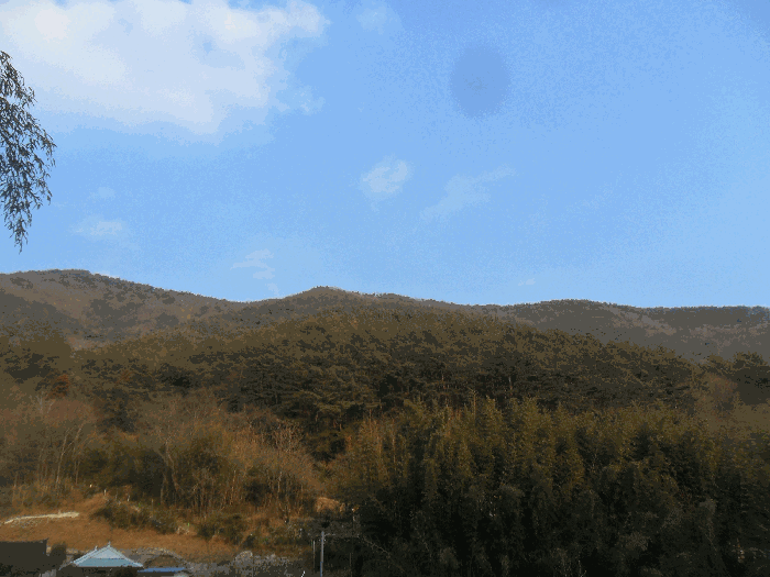 본건전경 기호5