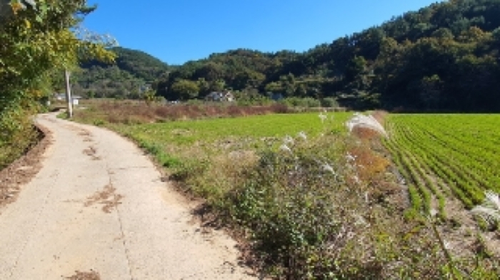 본건 및 주변