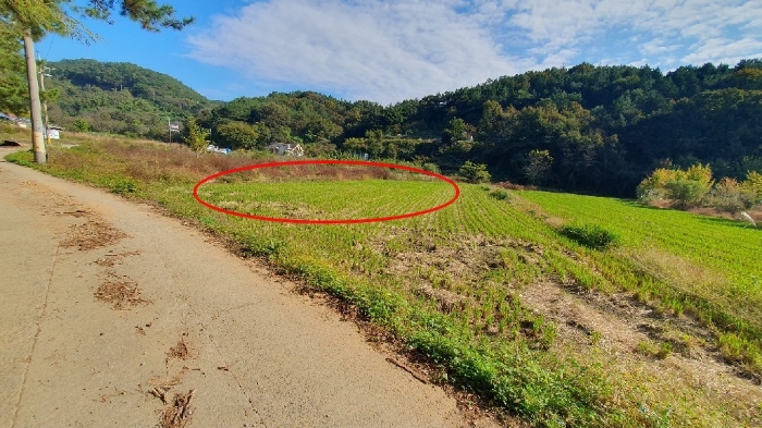 본건