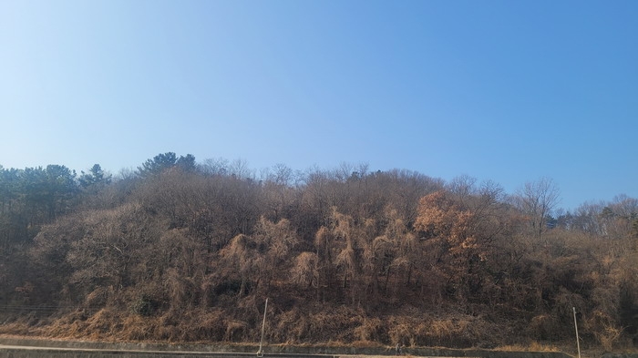 본건 원경