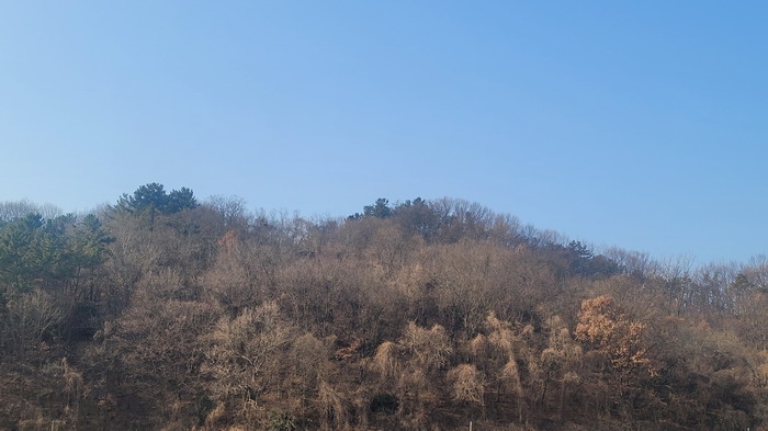 본건 및 주변