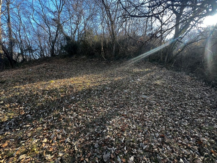 본건 전경 (1)
