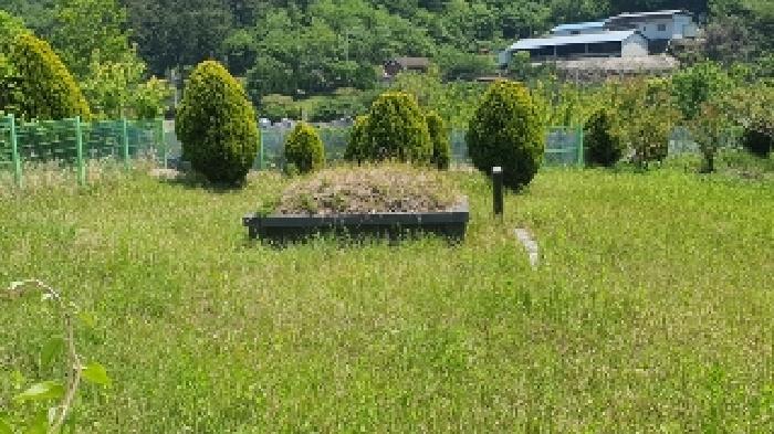 본건 지상의 분묘