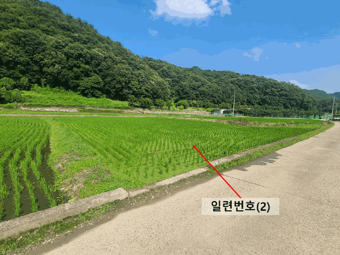 일련번호(2)
