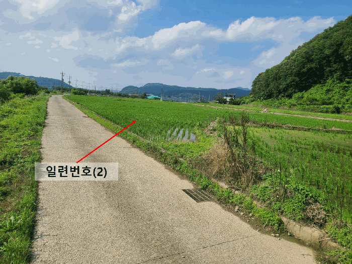 일련번호(2) 및 일부 현황도로