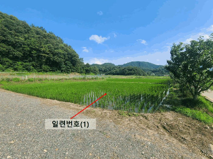 일련번호(1)