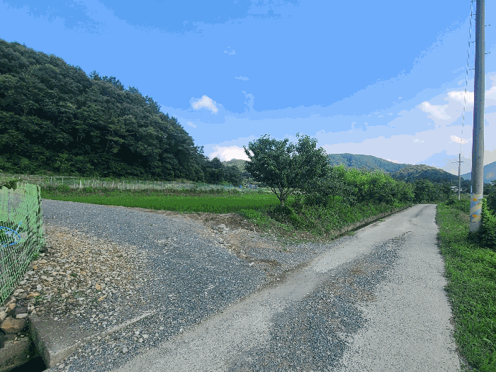 일련번호(1)