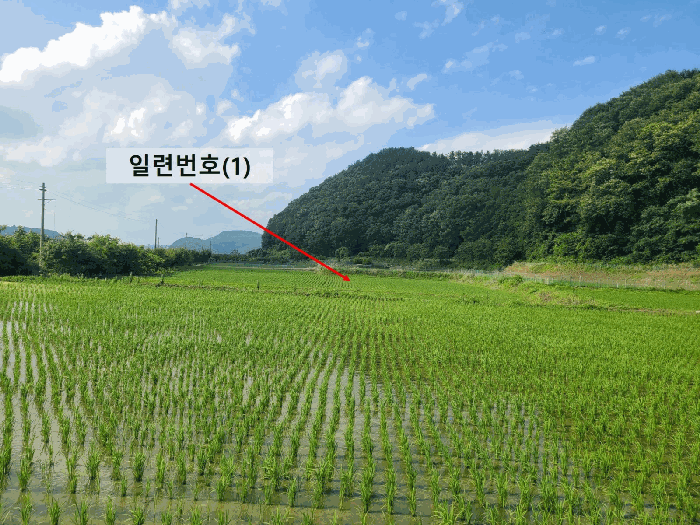일련번호(1)