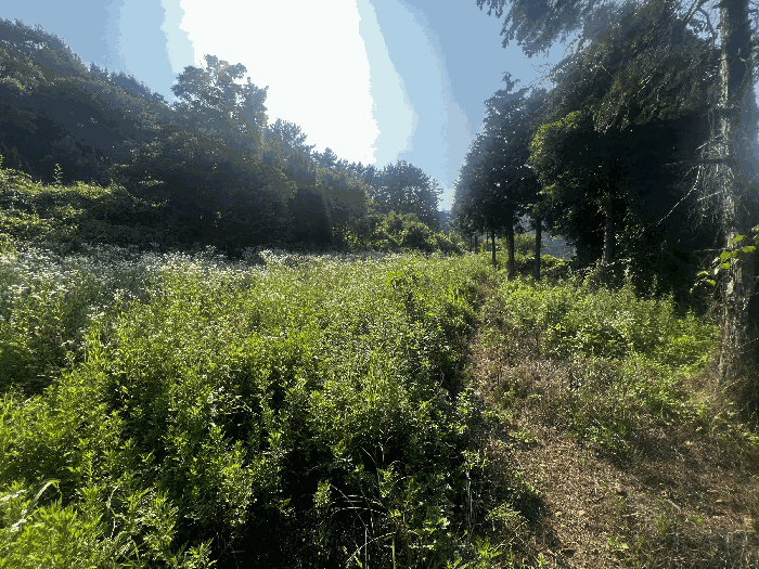 본건 전경(1)