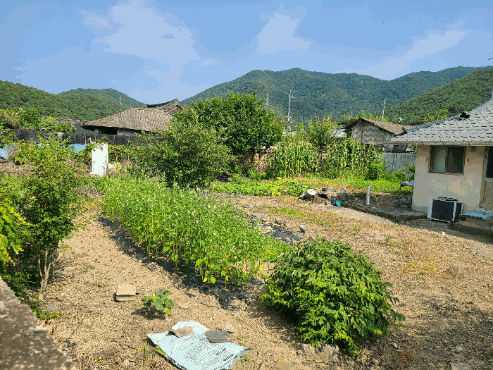 일련번호(1) 전경