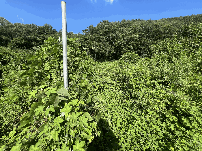 일련번호2 전경