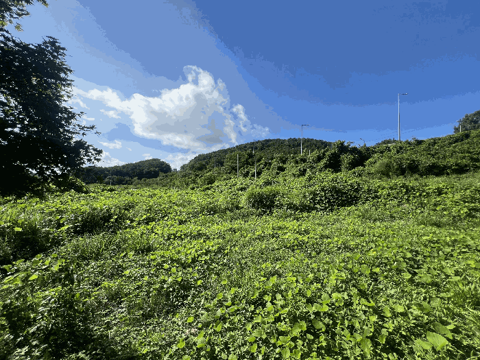 일련번호1,4,6 전경