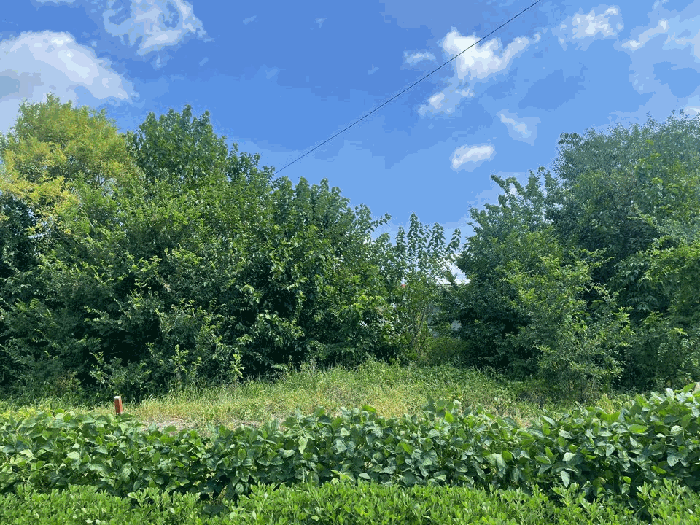 본건 기호 4) 전경