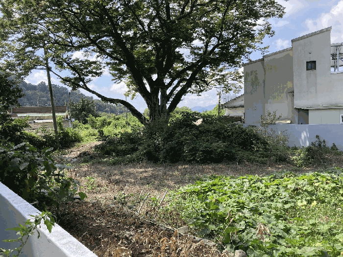 본건 전경