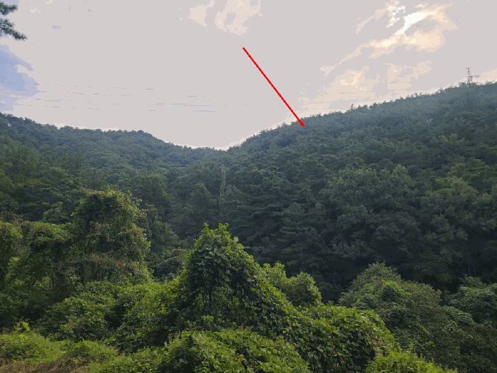 본건 전경