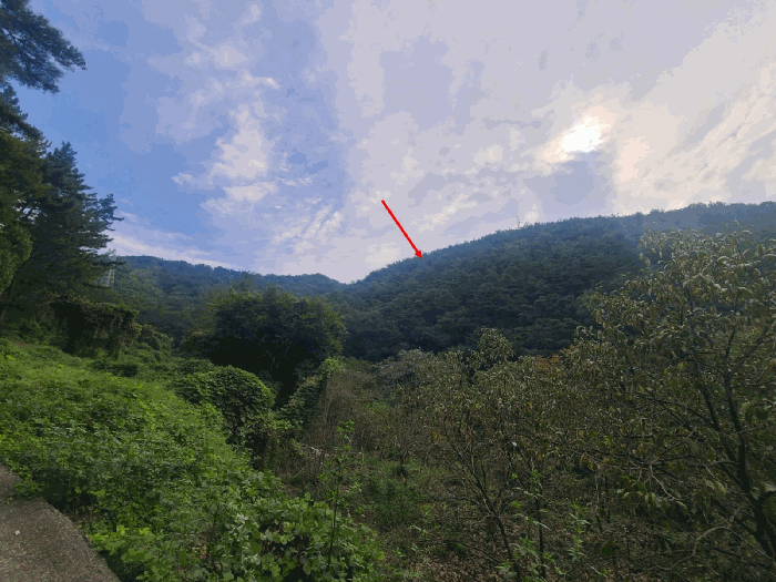 본건 및 주변환경