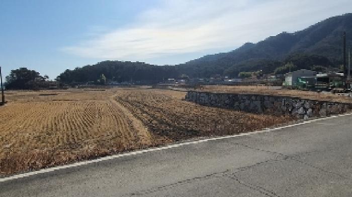 본건 및 주변