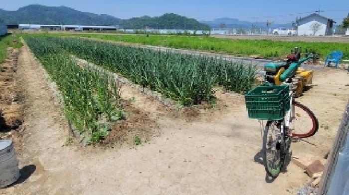 본건 내부