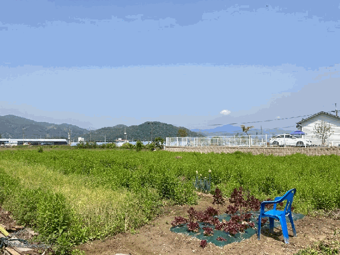 본건 전경