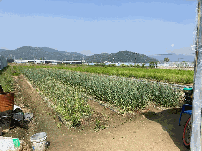 본건 전경