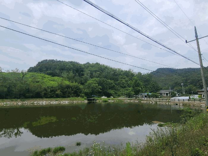 일련번호(1) 및 주변환경