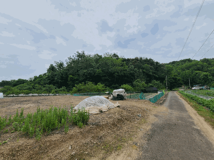 일련번호(1)