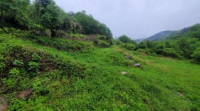 본건1,2 및 주변