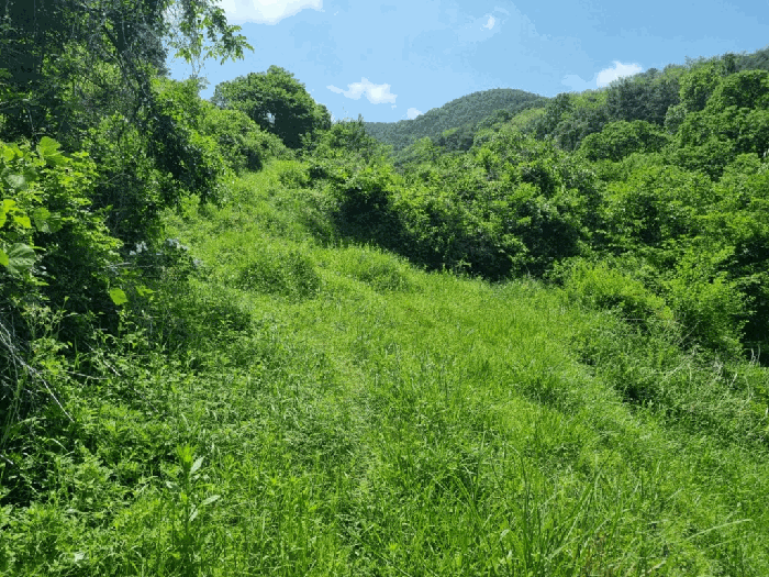 일련번호1) 전경