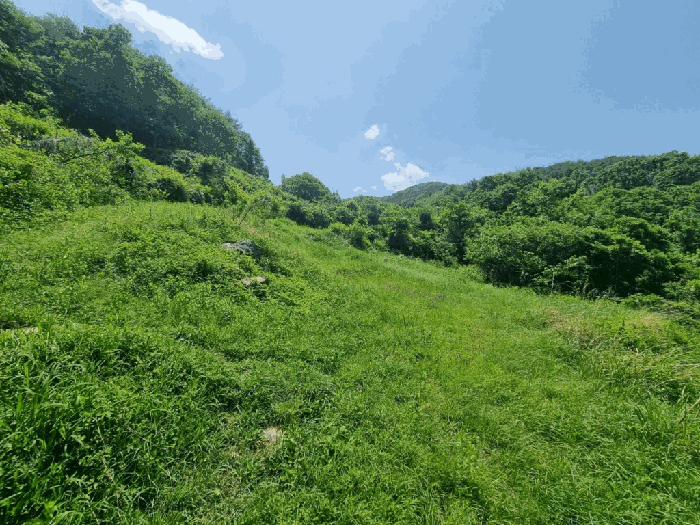 일련번호2) 전경