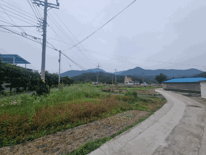 대상물건 일련번호(5)