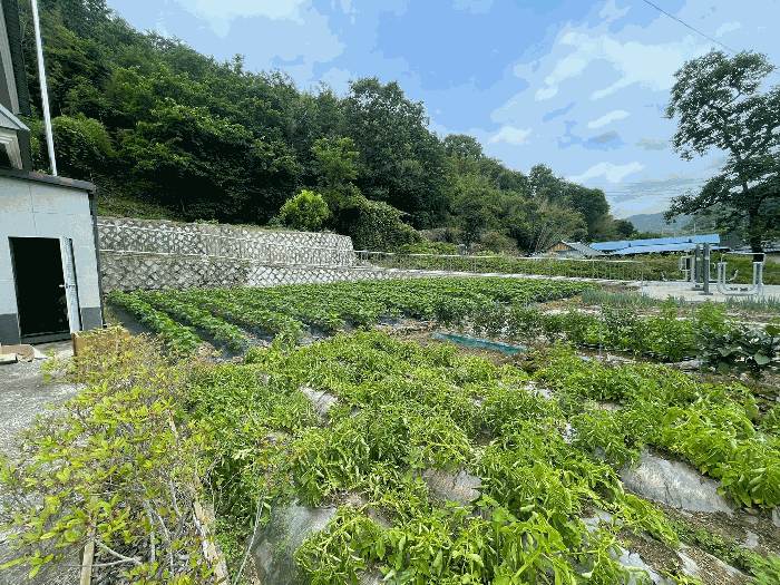 본건 기호 6) 전경