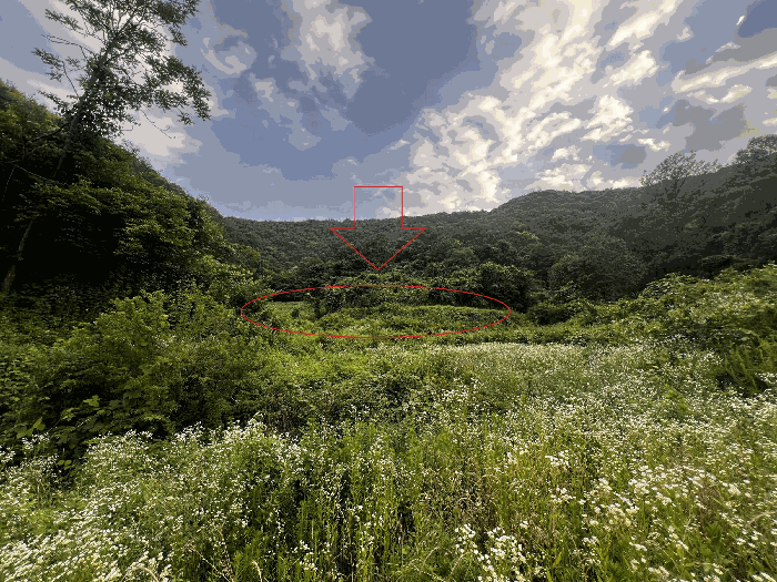 본건 전경