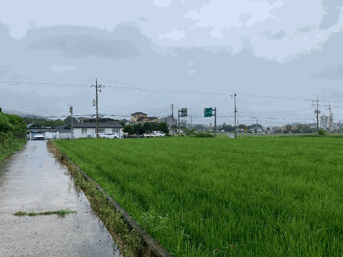본건 전경