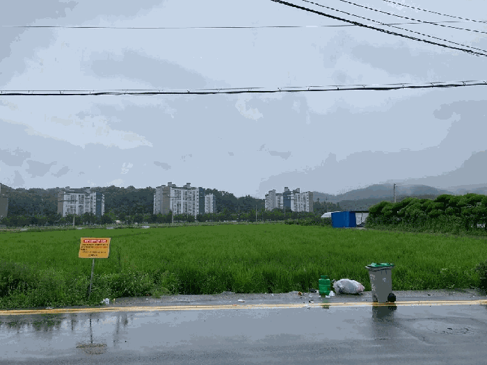 본건 전경