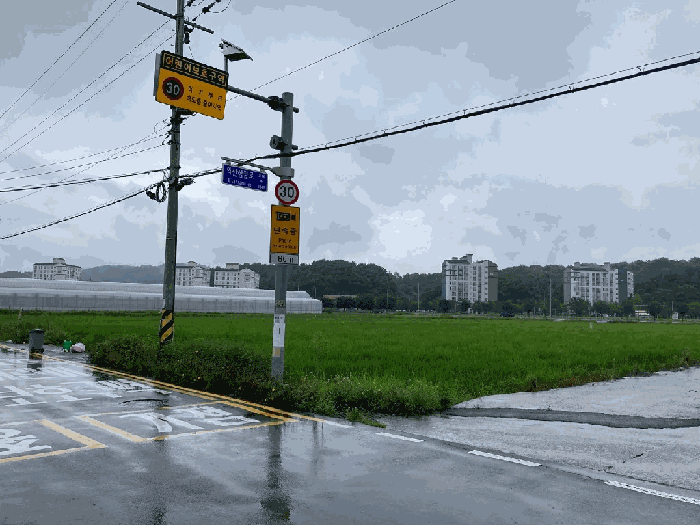 본건 전경