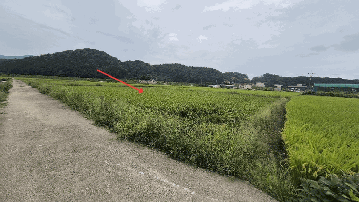 본건 기호1) 토지