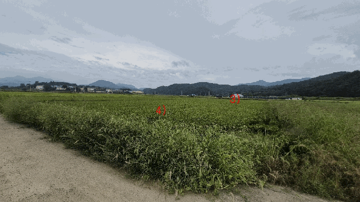 본건 기호3),4) 토지